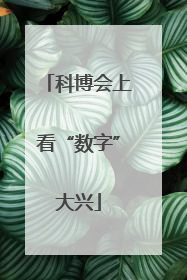 科博会上看“数字”大兴
