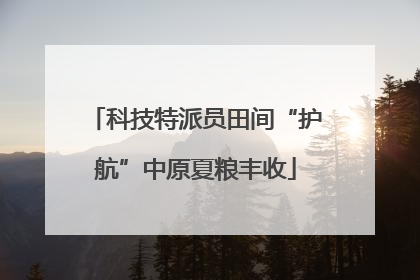 科技特派员田间“护航”中原夏粮丰收