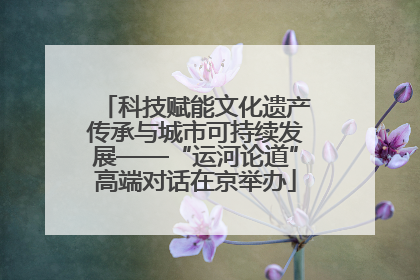 科技赋能文化遗产传承与城市可持续发展——“运河论道”高端对话在京举办