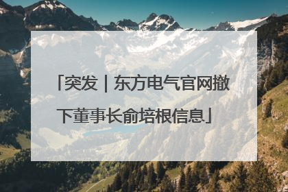 突发｜东方电气官网撤下董事长俞培根信息