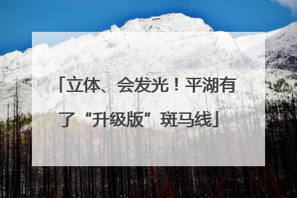 立体、会发光！平湖有了“升级版”斑马线
