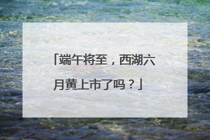 端午将至，西湖六月黄上市了吗？