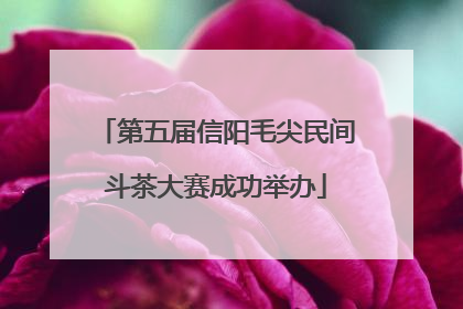 第五届信阳毛尖民间斗茶大赛成功举办