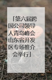 第六届跨国公司领导人青岛峰会山东省开发区专场推介会举行
