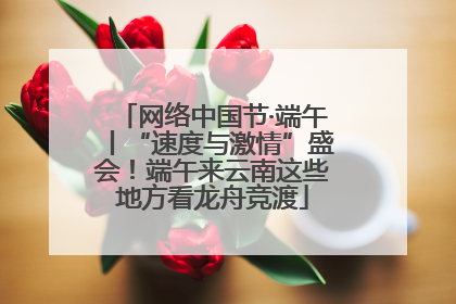 网络中国节·端午丨“速度与激情”盛会！端午来云南这些地方看龙舟竞渡