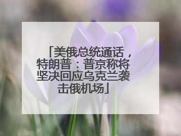 美俄总统通话，特朗普：普京称将坚决回应乌克兰袭击俄机场