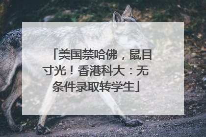 美国禁哈佛，鼠目寸光！香港科大：无条件录取转学生