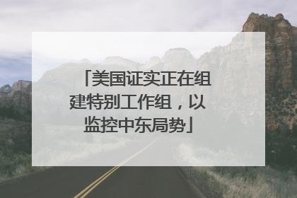 美国证实正在组建特别工作组，以监控中东局势