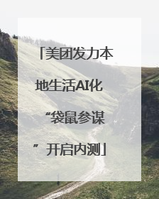 美团发力本地生活AI化 “袋鼠参谋”开启内测