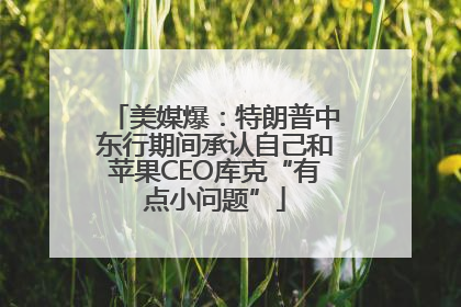 美媒爆：特朗普中东行期间承认自己和苹果CEO库克“有点小问题”