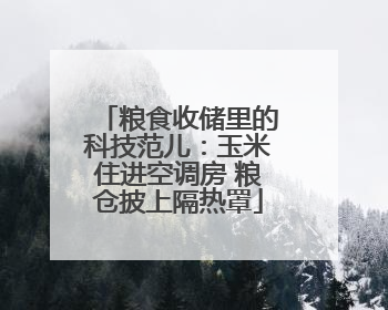 粮食收储里的科技范儿：玉米住进空调房 粮仓披上隔热罩