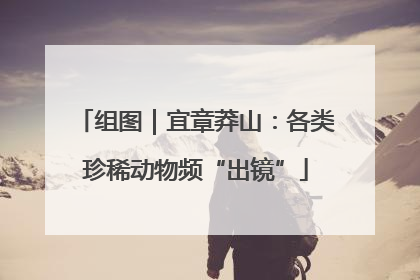 组图｜宜章莽山：各类珍稀动物频“出镜”