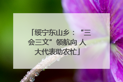 绥宁东山乡：“三会三文”领航向 人大代表助农忙
