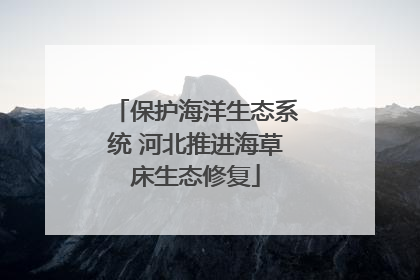 保护海洋生态系统 河北推进海草床生态修复