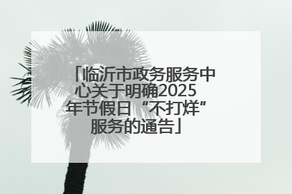 临沂市政务服务中心关于明确2025年节假日“不打烊”服务的通告