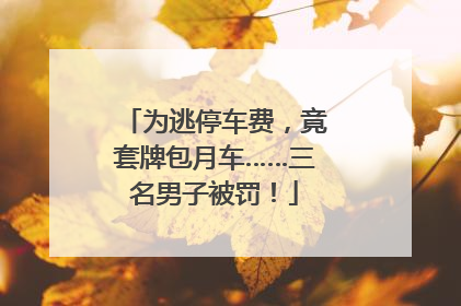 为逃停车费，竟套牌包月车……三名男子被罚！