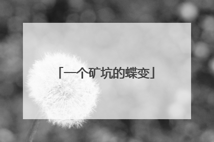 一个矿坑的蝶变