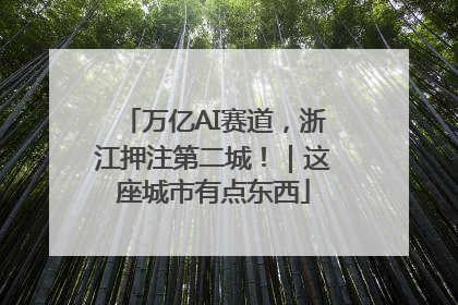 万亿AI赛道，浙江押注第二城！｜这座城市有点东西