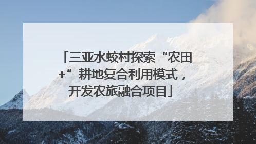 三亚水蛟村探索“农田+”耕地复合利用模式，开发农旅融合项目