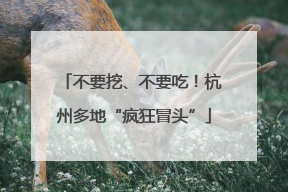 不要挖、不要吃！杭州多地“疯狂冒头”