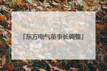 东方电气董事长调整