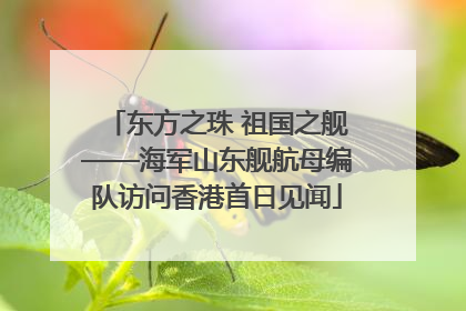 东方之珠 祖国之舰——海军山东舰航母编队访问香港首日见闻