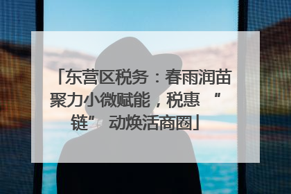东营区税务：春雨润苗聚力小微赋能，税惠 “链” 动焕活商圈