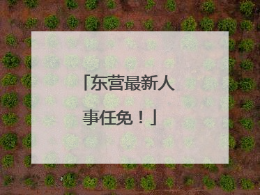 东营最新人事任免！