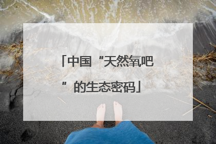 中国“天然氧吧”的生态密码