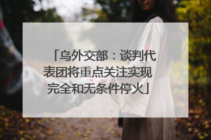 乌外交部：谈判代表团将重点关注实现完全和无条件停火