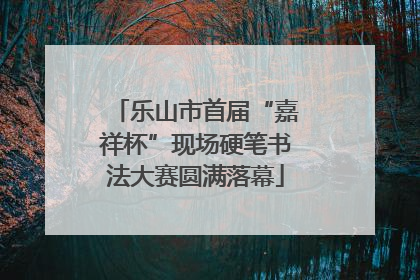 乐山市首届“嘉祥杯”现场硬笔书法大赛圆满落幕