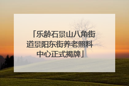 乐龄石景山八角街道景阳东街养老照料中心正式揭牌