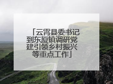 云霄县委书记到东厦镇调研党建引领乡村振兴等重点工作