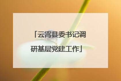 云霄县委书记调研基层党建工作