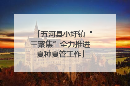 五河县小圩镇“三聚焦”全力推进夏种夏管工作