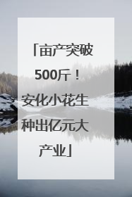 亩产突破500斤！安化小花生种出亿元大产业