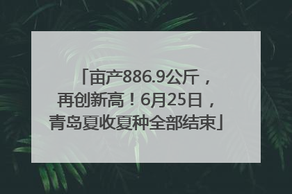 亩产886.9公斤，再创新高！6月25日，青岛夏收夏种全部结束
