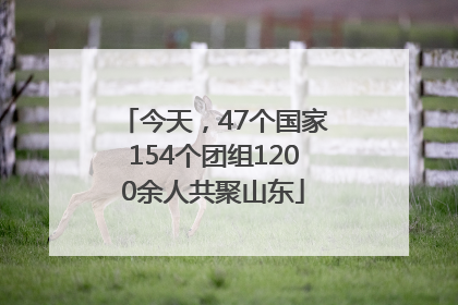 今天，47个国家154个团组1200余人共聚山东