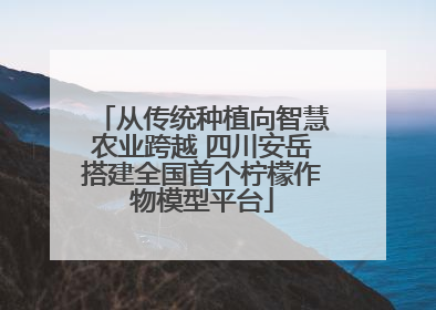 从传统种植向智慧农业跨越 四川安岳搭建全国首个柠檬作物模型平台