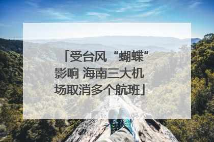 受台风“蝴蝶”影响 海南三大机场取消多个航班