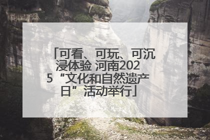 可看、可玩、可沉浸体验 河南2025“文化和自然遗产日”活动举行