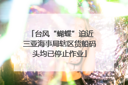 台风“蝴蝶”迫近 三亚海事局辖区货船码头均已停止作业