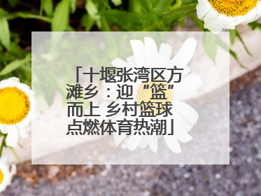 十堰张湾区方滩乡：迎“篮”而上 乡村篮球点燃体育热潮