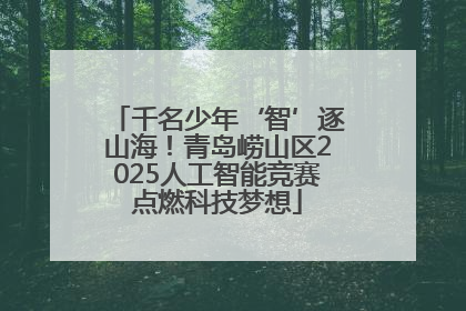 千名少年‘智’逐山海！青岛崂山区2025人工智能竞赛点燃科技梦想