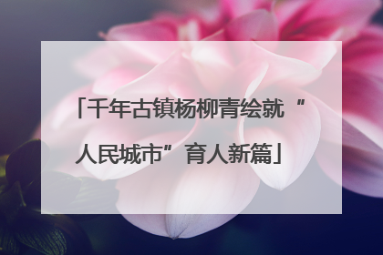 千年古镇杨柳青绘就“人民城市”育人新篇