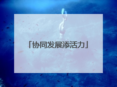 协同发展添活力