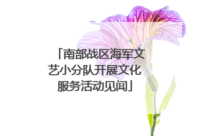 南部战区海军文艺小分队开展文化服务活动见闻