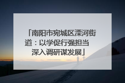 南阳市宛城区溧河街道：以学促行强担当 深入调研谋发展