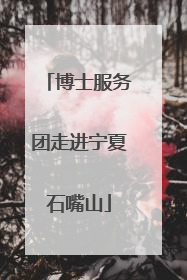 博士服务团走进宁夏石嘴山