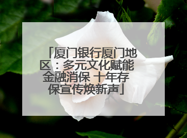 厦门银行厦门地区：多元文化赋能金融消保 十年存保宣传焕新声